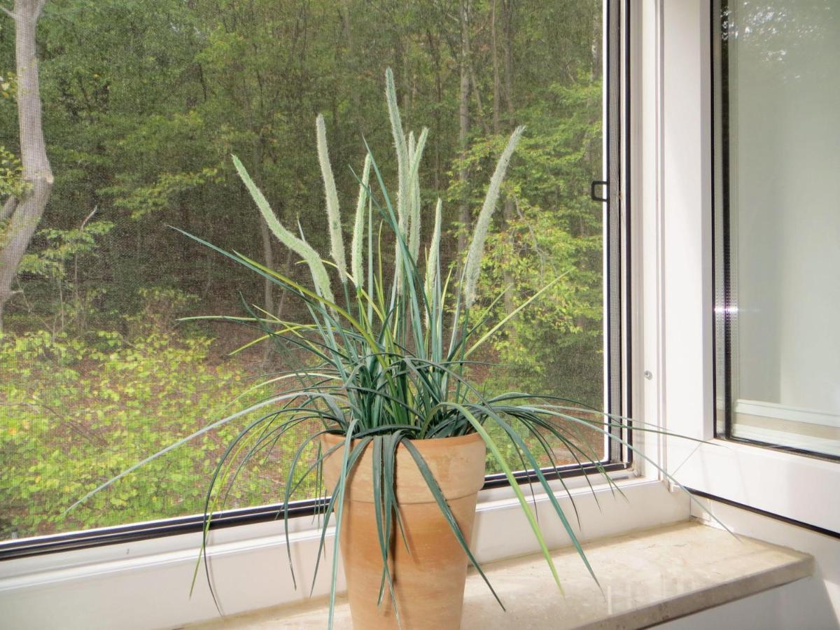 Weisses-Haus-Am-Kurpark-Fewo-Waldblick Quedlinburg Eksteriør billede